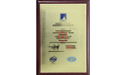 榮譽資質(zhì) 榮譽資質(zhì)